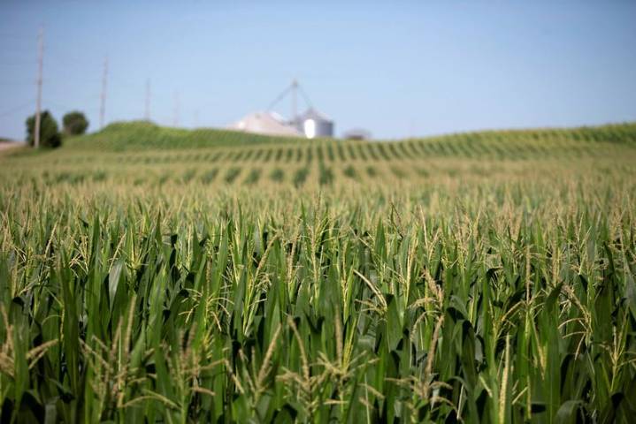 Trump bailout for trade-hit US farmers expected this week