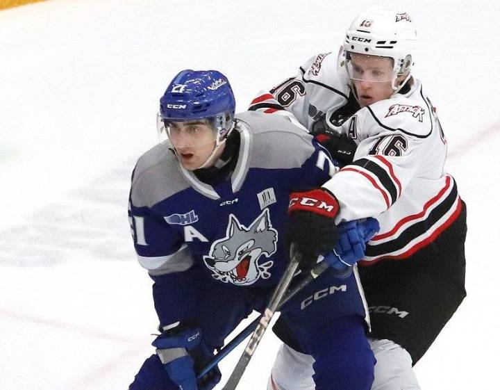 Alex Pharand shakes off slow start as Sudbury Wolves turn corner