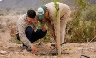 Un futuro verde: la provincia promueve la forestación y mejora ambiental