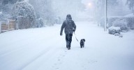 Weather forecaster reveals exactly where and when 'widespread SNOW' could fall