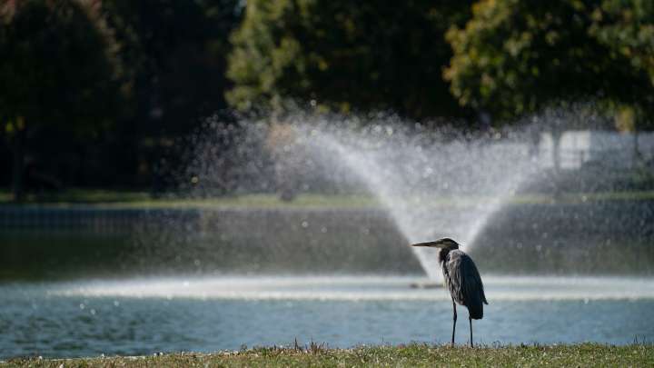 Michigan city named for a president offers vibrant living, shopping
