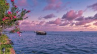 Kochi: The Queen of the Arabian Sea — A Historic Gateway of Spice, Culture, and Commerce