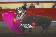 Suprema Corte rechaza atraer asunto para fijar criterio nacional sobre corridas de toros