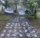 DESMANTELAN CAMPAMENTO CLANDESTINO Y ASEGURAN MATERIAL BÉLICO