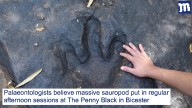 Trail of dinosaur footprints leads to Wetherspoons
