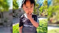 Caso Loan: piden una prórroga judicial para seguir investigando el paradero del niño