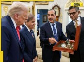 Pakistani senator MOCKS Asim Munir for presenting rare earth minerals to Trump