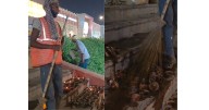 Ayodhya: Cleaners sweep diyas; SP leaders condemn action