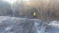 Controlaron varios incendios de pastizales en distintos puntos de la Capital