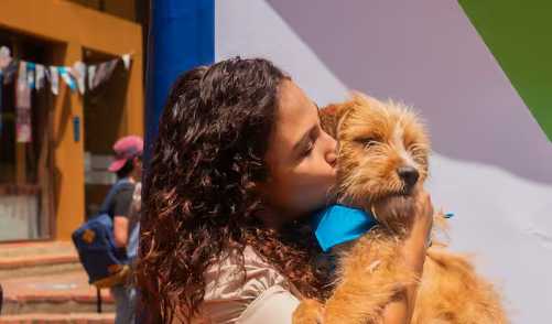 Una universidad en Bogotá dice “adiós” a los perros de vigilancia y apuesta por tecnología