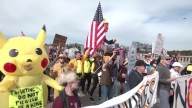 'No Kings' protests against Trump draw huge crowds across U.S. and abroad