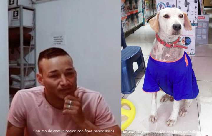 SUJETO SEÑALADO DE APUÑALAR MORTALMENTE A UN CANINO DEBERÁ CUMPLIR MEDIDA DE ASEGURAMIENTO EN LA CÁRCEL