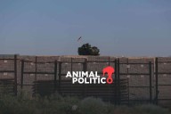 EU anuncia multas de 5 mil dólares por cruzar la frontera de forma irregular