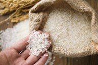MP News: Rice Mills Causes ₹1 Crore Loss To Government Coffers In Balaghat