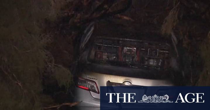 Two people help man’s miracle escape from crash
