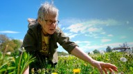 Foraging revival: How wild food enthusiasts are reconnecting with nature