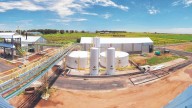 Reclaman una nueva ley de biocombustible