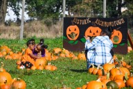 Staten Island weekend happenings: Spooky tours, fall markets and more