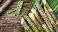 Sugarcane arrears may rise as OMCs cut ethanol offtake: Industry