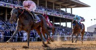 Post Time: What to watch for during next week’s Breeders’ Cup