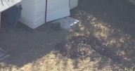 Neighbors in disbelief after couple accused of burying son with special needs in North Texas backyard