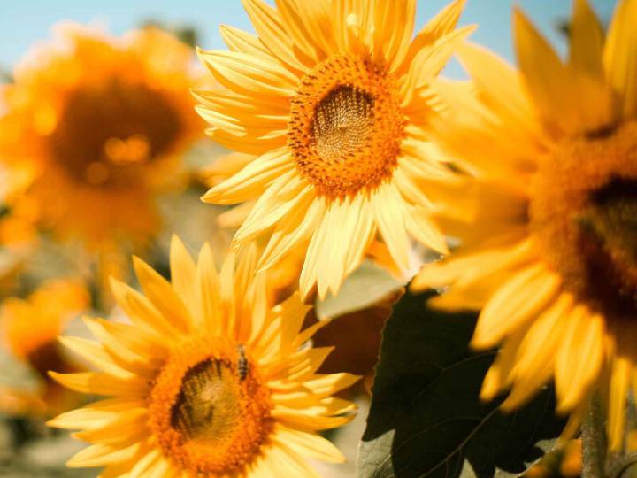 OBITUARY: Beverly J. McClurkan