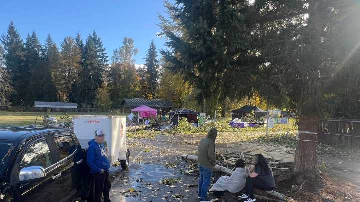 Fallen tree kills 1 at Pierce County Halloween event