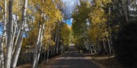 What to know to go leaf-peeping in the White Mountains