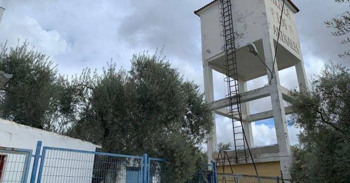 Una colonia de gorriones, origen de la contaminación del agua de Los Arenales en Puente Genil