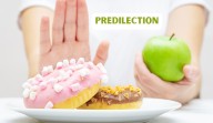 What does the word ‘predilection’ mean? What to say if these are a few of your favorite things