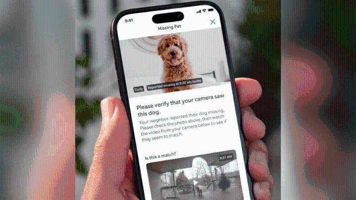 Ring launching new AI-powered neighborhood watch program for finding missing dogs