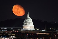 Moonstruck