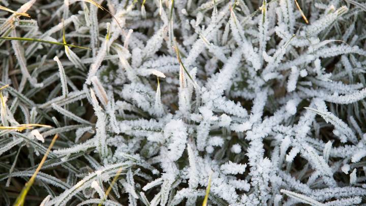 Frost advisory in effect for Chicago area; freeze warning next