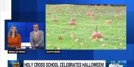 Holy Cross School offers a pumpkin patch for elementary students