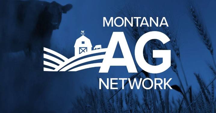 Government shutdown stalls USDA payments, leaving some Montana farmers in limbo