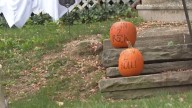 Police in NE Ohio community warn they will prosecute pumpkin thieves
