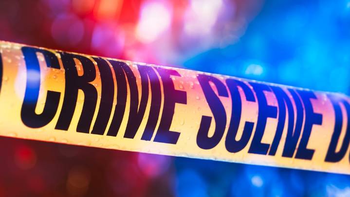 Port Angeles man arrested on multi-state vehicle fraud investigation