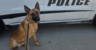Huntingburg PD K9 receiving donation of body armor
