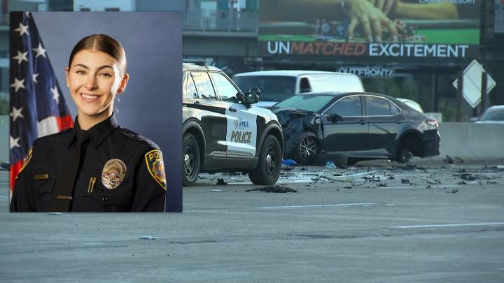 Driver who fatally struck La Mesa officer on I-8 arrested for DUI – NBC 7 San Diego