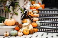 Oh, my gourd, it’s Hallowe’en: How best to decorate your home with pumpkins, squashes and more
