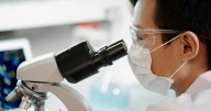 Enfermedades infecciosas: cuáles son los síntomas y cómo se trata