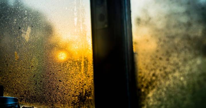 Little-known £1 item that helps keep windows free from condensation