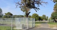 Kennewick's first dog park to open with grand event next Saturday