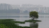 Yadadri-Bhongir records 190.8 mm; Hyderabad remains cloudy