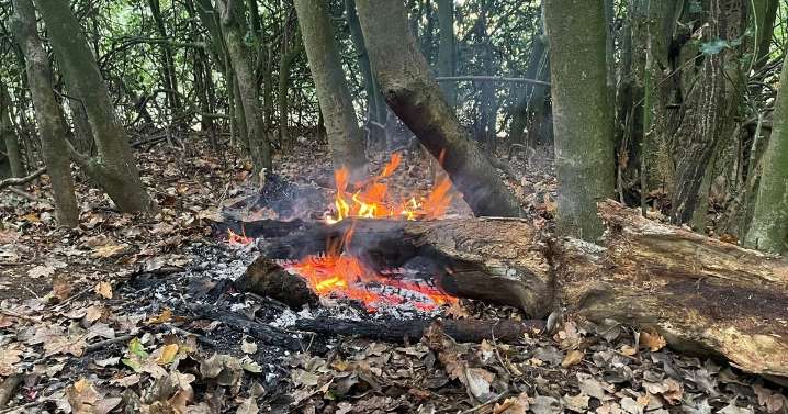 Reckless fire starters at Birmingham beauty spot risk widespread damage in repeat blazes