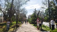 Reforestan el parque de Morales con apoyo de Grupo Bimbo y Reforestamos México
