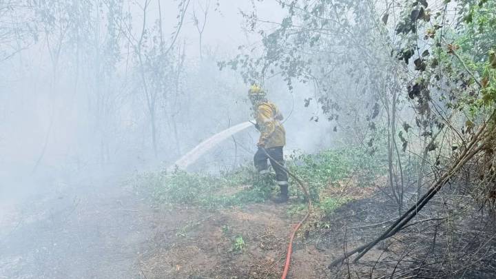 Los incendios en Ledesma afectaron a más de 1500 hectáreas