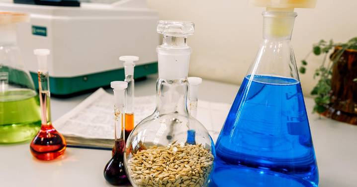 SRF Q2 Results: Profit Rises 93% On Sharp Climb In Chemical Business