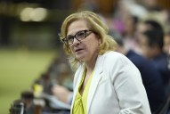 Trigger for new immigration powers ‘intentionally not defined’ in border bill: Diab