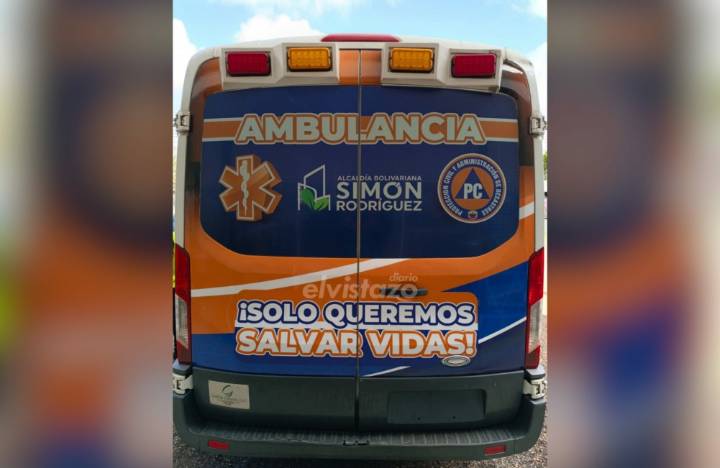Protección Civil El Tigre atendió cuatro adultos y dos menores afectados por picadura de abejas vía El Caris